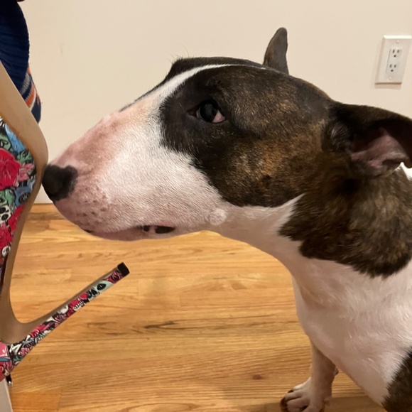 Arden Wohl Cri De Cour size 9 shoes - Picture 5 of 6